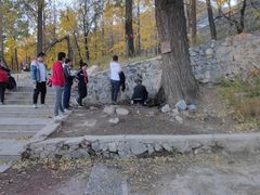 -阳台山自然风景区