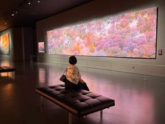 -罗红摄影艺术馆