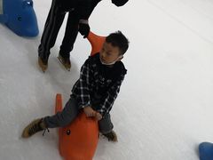 -世界之窗阿尔卑斯冰雪世界