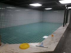 -柚子宠物(伊珊娜调理店)