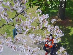 -徐家汇公园