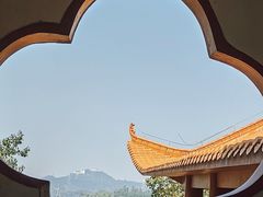 -深圳仙湖植物园