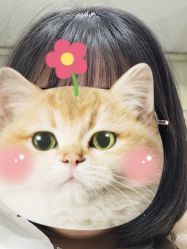 -P.R.O.salon 发哲