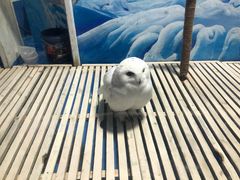 -成都浩海立方海洋公园