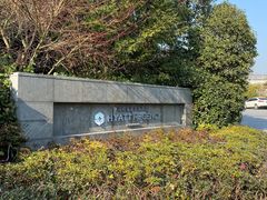 -上海崇明金茂凯悦酒店