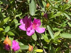 -昆山城市生态森林公园