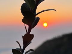 -梧桐山风景名胜区