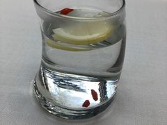-梧桐