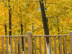 -重庆中央公园(渝北区)