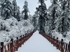 -瓦屋山景区