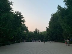 -玲珑塔公园