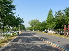 -羊山湖公园