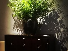 -山里亲戚(淞虹路店)