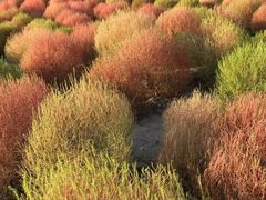 -映月湖中央公园