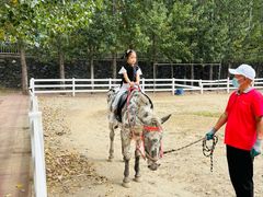 -西部长青自然儿童乐园