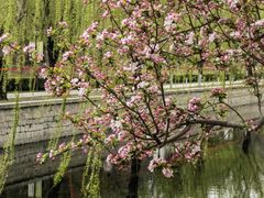 -元大都城垣遗址公园