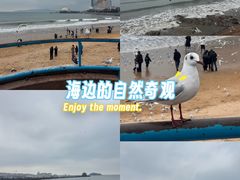 -青岛海滨风景区