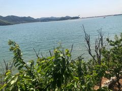 -望湖烤鱼