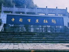 -贵州百里杜鹃风景名胜区