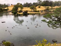 -水前寺成趣园