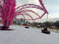 -沈阳奥体冰雪嘉年华