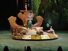 -广州长隆国际大马戏