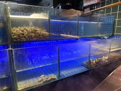 -去吃龙虾 | 烧烤·龙虾馆(红林世界城店)