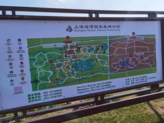 -上海海湾国家森林公园