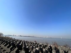 -上海滨江森林公园