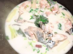 鲜潭蒸汽石锅江团鱼-鲜潭蒸汽石锅鱼(五道口购物中心店)