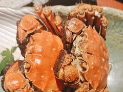 -花潮料理艺食馆(宝龙一城店)