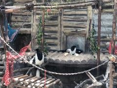 -灵玲国际马戏城