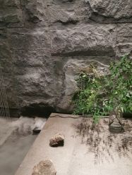 点击看大图 -美壹生皮肤管理中心