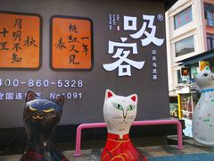 -猫咪博物馆(顶澳仔猫街店)