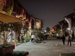 -运河游船(武林门码头)