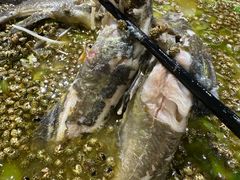 -小姐姐的鸭店(云锦路店)