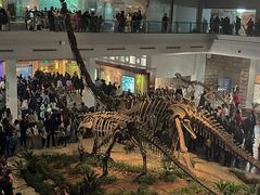 -自贡恐龙博物馆