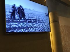 -西柏坡纪念馆