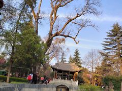 -巍山古城