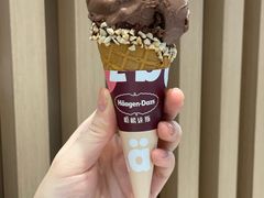 巧克力云云蓬蓬意式冰淇淋-哈根达斯(SM店)