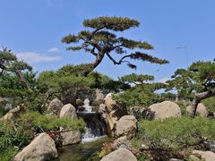 -罗红摄影艺术馆