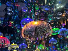 -上海梵高星空艺术馆(南京路旗舰店)
