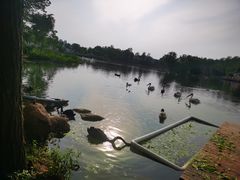 -武汉动物园