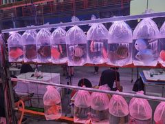 -华声天桥民俗文化园