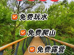 -白水寺森林公园