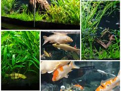 -上海海洋水族馆