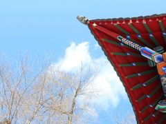-北山公园