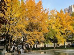 -温江公园