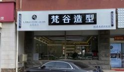 点击看大图 -茗梵谷造型