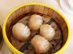 -新梅园不夜粥(龙华店)